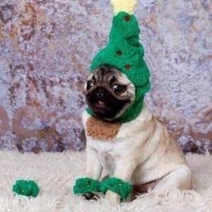 Meet your Posher, Faith